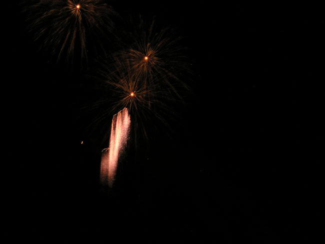 DSCN3520