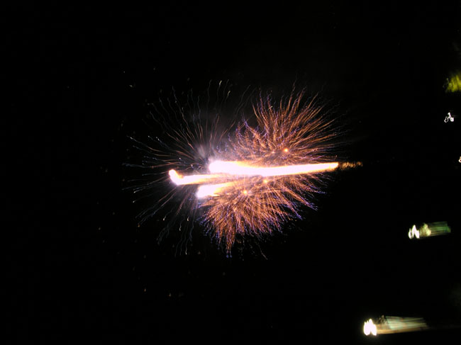 DSCN3541