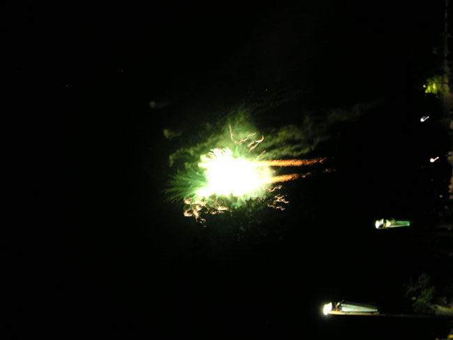 DSCN3551