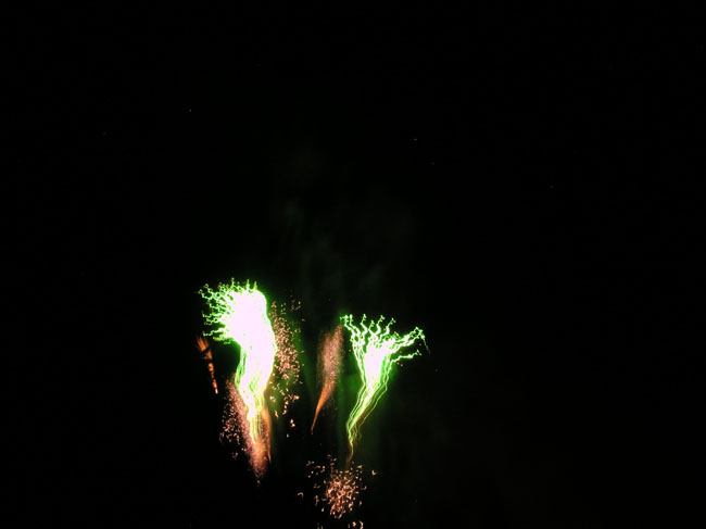 DSCN3554