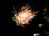 DSCN3538
