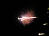 DSCN3541