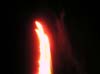 DSCN3560