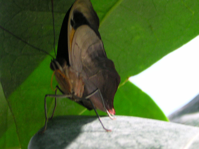DSCN0657