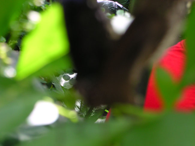 DSCN0663