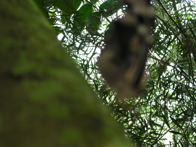DSCN0665