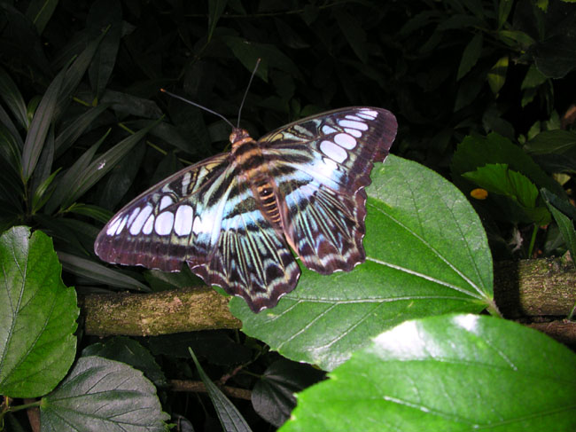 DSCN0668