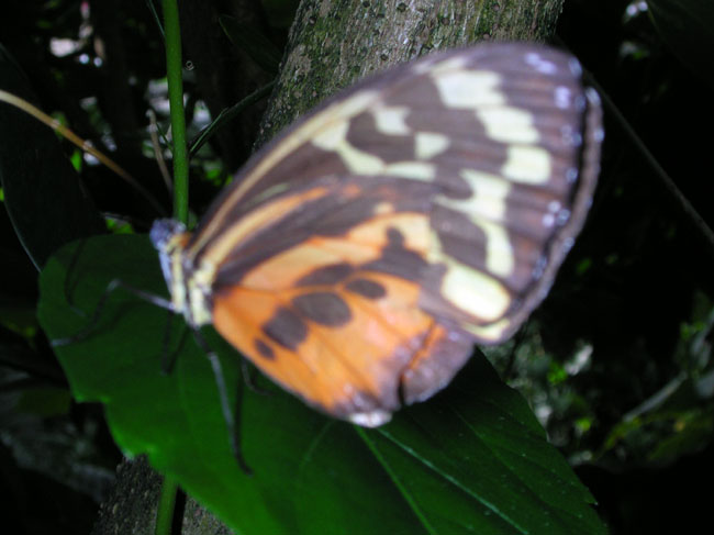 DSCN0677