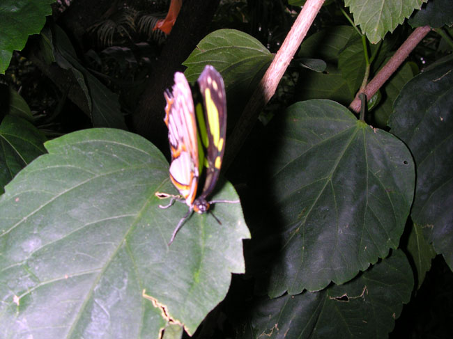 DSCN0687