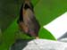 DSCN0657
