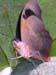 DSCN0658