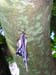 DSCN0664