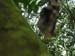 DSCN0665