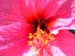 DSCN0669
