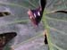 DSCN0675