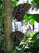 DSCN0679
