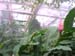DSCN0683