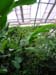 DSCN0685