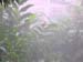 DSCN0695