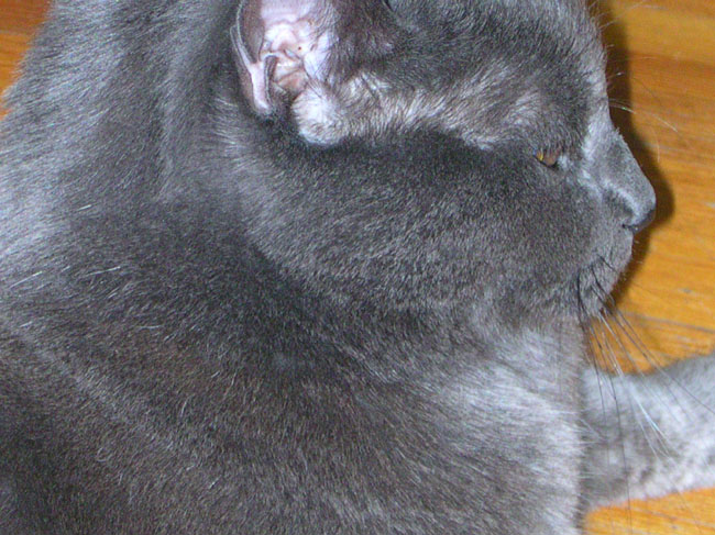 DSCN0602