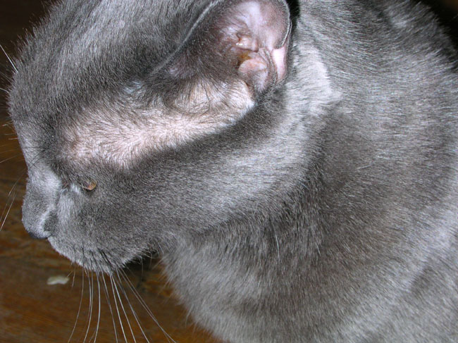 DSCN0605