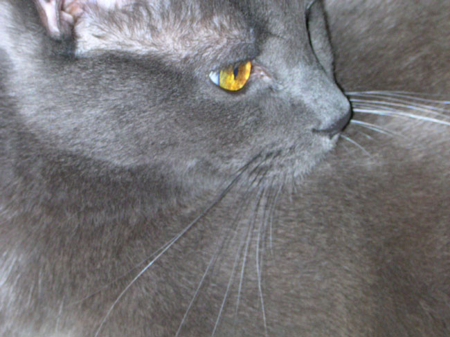 DSCN0607