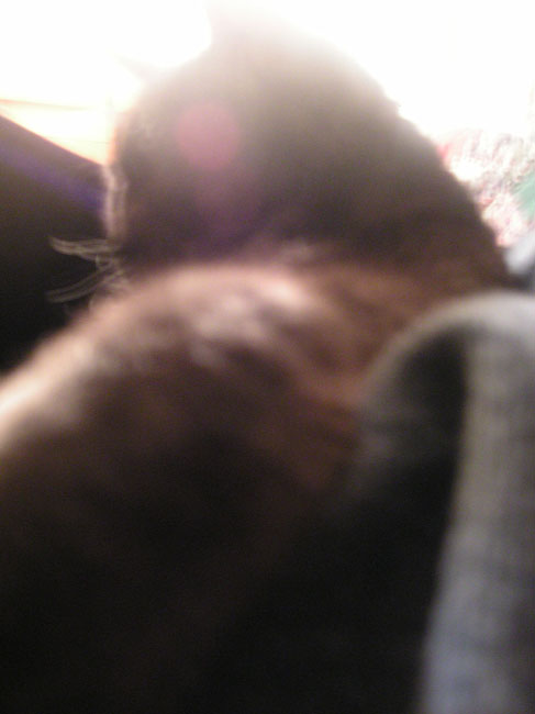 DSCN3677