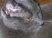 DSCN0608