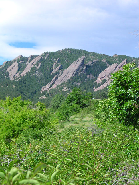 DSCN0616