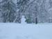 DSCN0192
