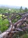 DSCN0618