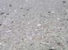 DSCN0535