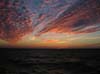 DSCN0545