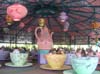 DSCN0569